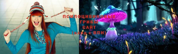 mdpv Кинешма
