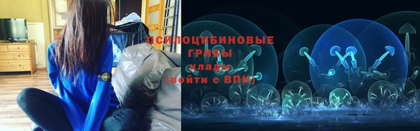стаф Киреевск